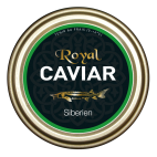 Siberian